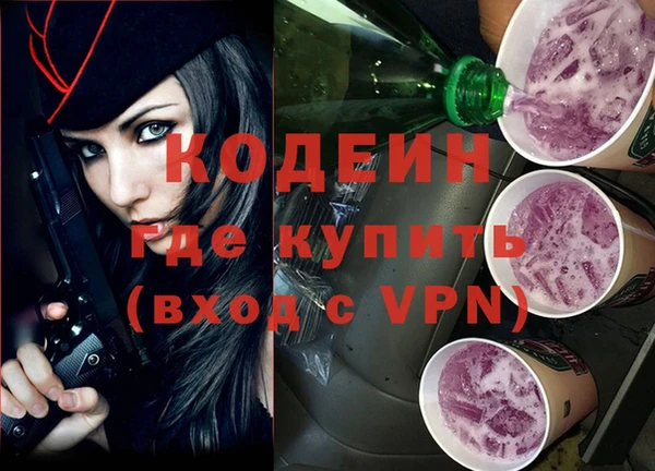 молекула духа Лабытнанги