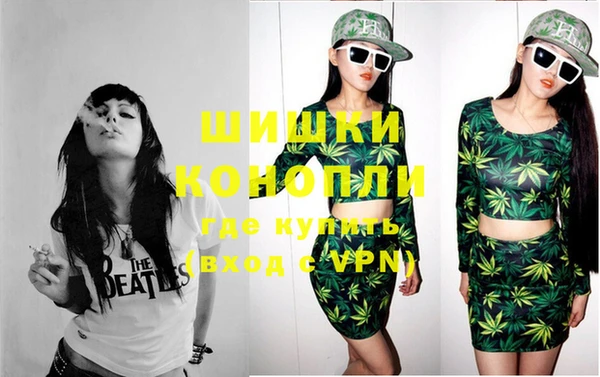 молекула духа Лабытнанги