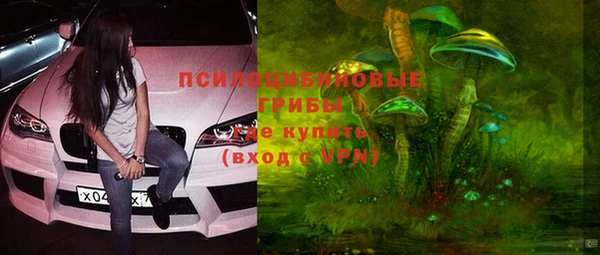 винт Ладушкин