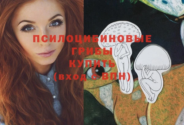 молекула духа Лабытнанги